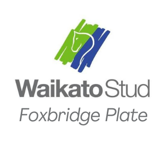 WS Foxbridge Plate